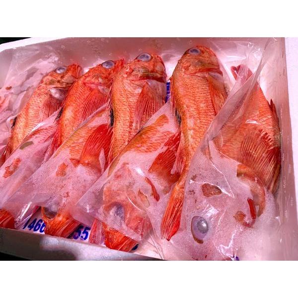 きんき 魚の人気商品 通販 価格比較 価格 Com