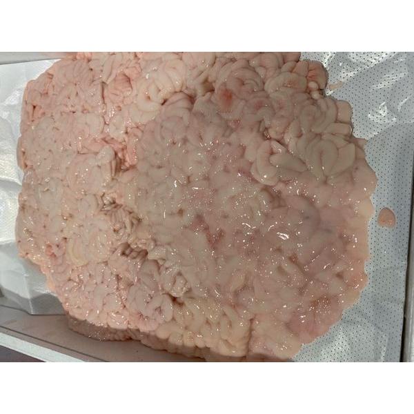 〔期間限定〕〔2特〕北海道産真タチ（真ダチ）1ｋｇ〔Ｂ〕北港直販☆真鱈・たら・タラ・タチ・ダチ・たち〔代引き不可〕