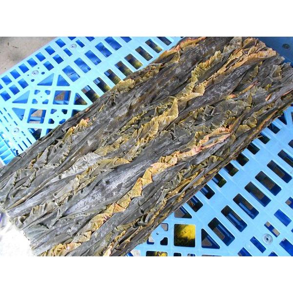 kƖpʁElklk󂠂ll̋Ɩp^z5k`́ԁERuksl