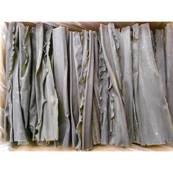 kƖpʁElkll̋Ɩp^z5kElk`́ԁERuksl