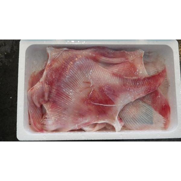 kCYނJXxiGCqj4i2`4jkalk`́EEJXxEJX؁kwɑΉłȂꍇLlksl