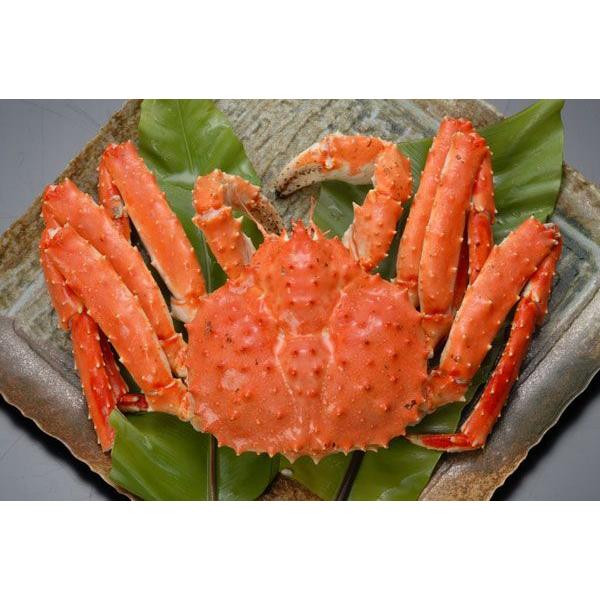 冷凍ボイルタラバガニ姿1.5ｋｇ〔H〕北港直販☆かに・蟹・たらば