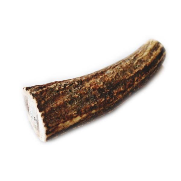 鹿の角 オブジェの人気商品 通販 価格比較 価格 Com