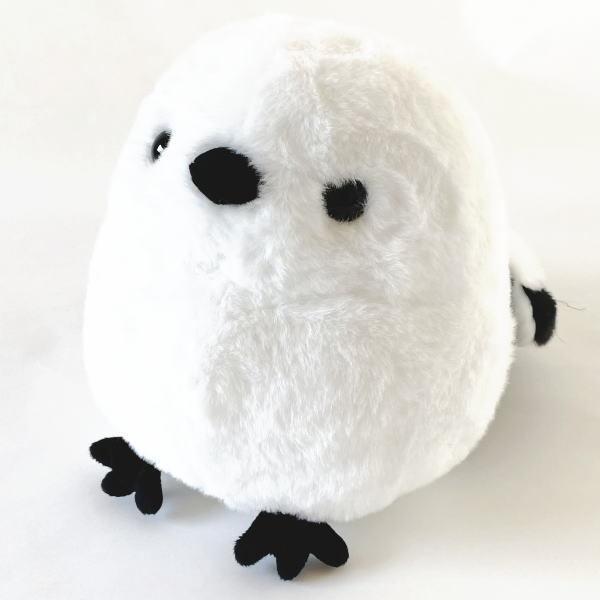 V}GiK ʂ݁@MTCY@HPI@܂Ȃ   Ƃ g 쒹 ObY G ̗d v` Mtg v[g