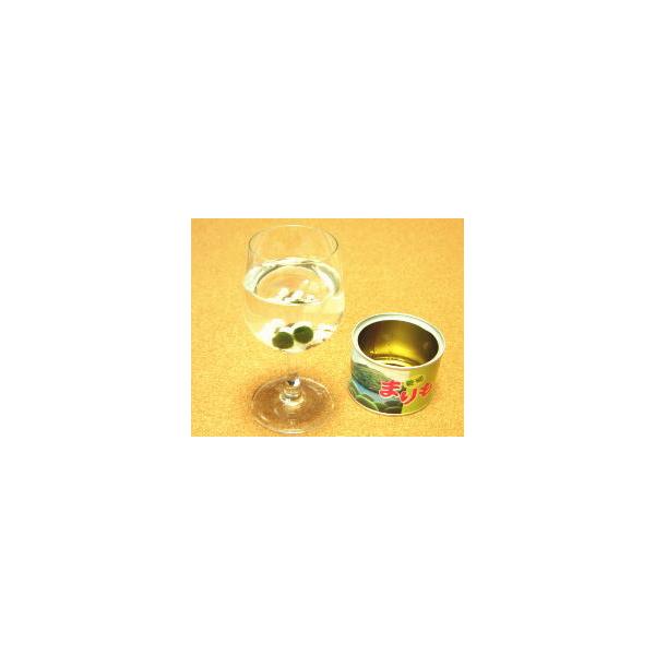 養殖まりもが入った まりも缶詰 水道水で簡単育成 北海道 お土産 おみやげ 販売 通販 癒し インテリア 雑貨 小物 定番 マリモ Buyee Buyee Japanese Proxy Service Buy From Japan Bot Online