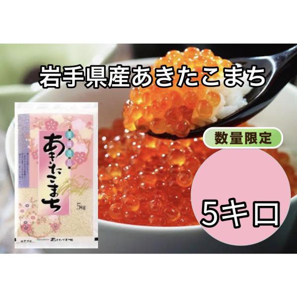 あきたこまち 令和6年産(白米)岩手県産あきたこまち 5kg お米 あきたこまち 令和6年産(白米)岩手県産あきたこまち 5kg お米