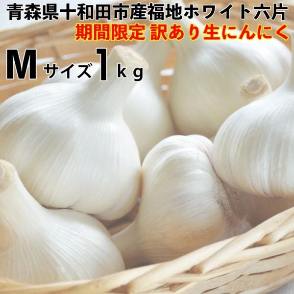 予約販売開始 令和４年産 訳あり 生にんにく 青森県産 福地ホワイト六片 にんにく Mサイズ 1kg 期間限定 数量限定 クール便
