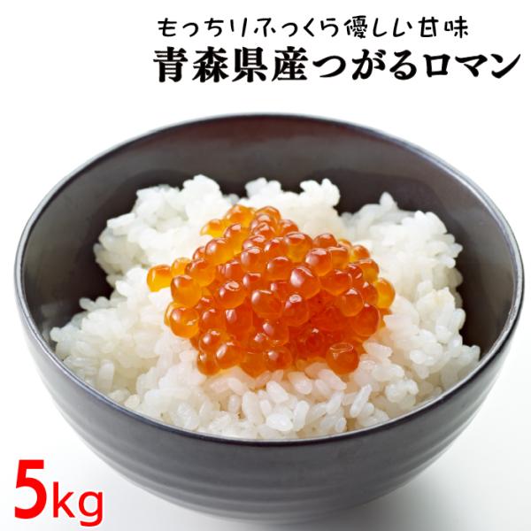 つがるロマン 令和6年産 5kg お米 白米 精米 青森県産 送料無料
