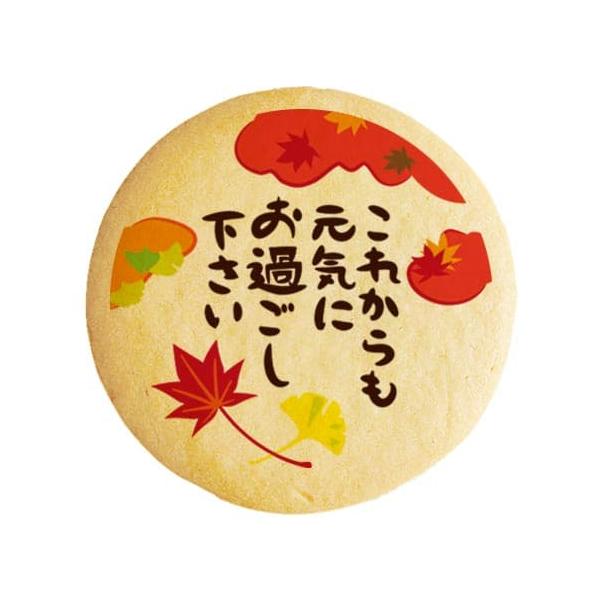 hV̓  bZ[WNbL[  v` Mtg  bZ[WNbL[