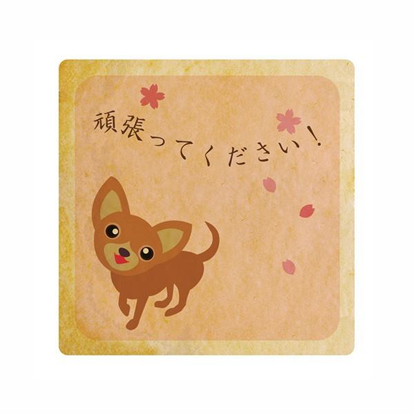 bZ[WNbL[撣Ă  v` Mtg  vgNbL[