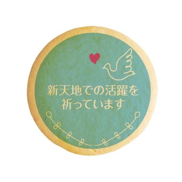 bZ[WNbL[VVnł̊FĂ܂  ng  v` Mtg  vgNbL[