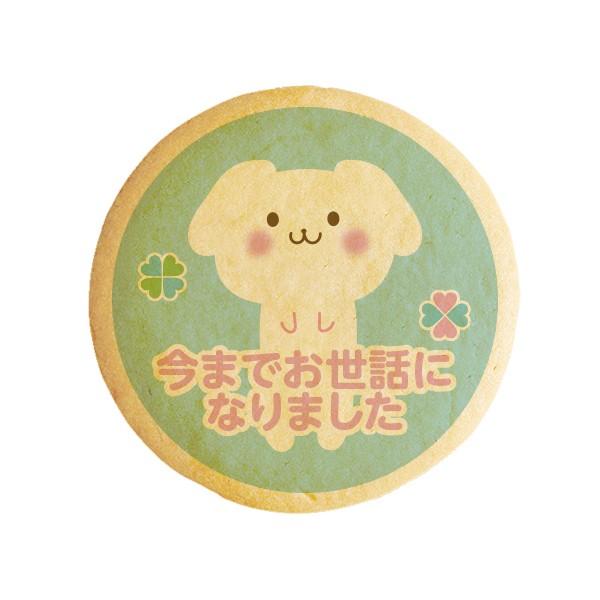 bZ[WNbL[ ܂łbɂȂ܂ 2  v` Mtg  vgNbL[