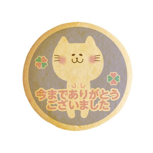 bZ[WNbL[ ܂łbɂȂ܂ ˂  v` Mtg  vgNbL[