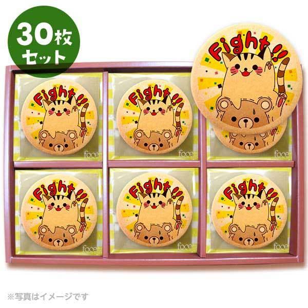 bZ[WNbL[ Fight  v`Mtg 30Zbg