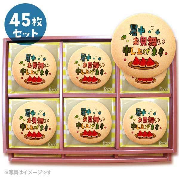 bZ[WNbL[ \グ܂ v`Mtg V[NbL[ 45Zbg