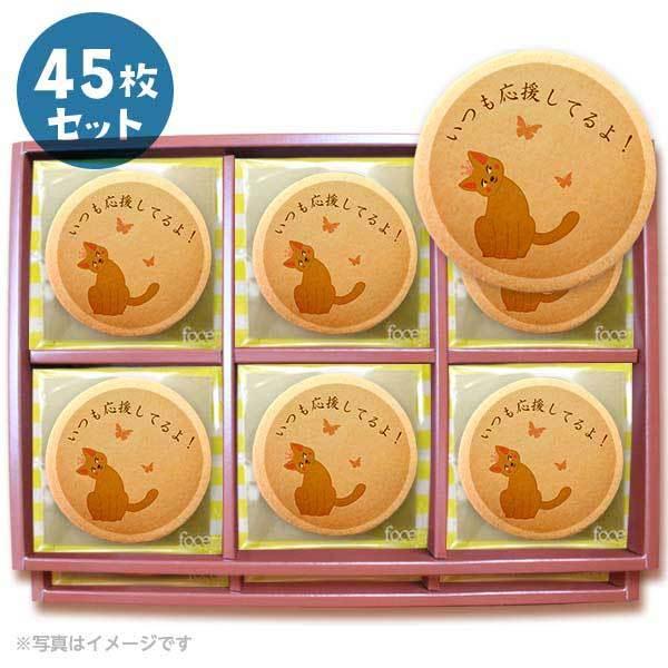 bZ[WNbL[ Ă  v`Mtg 45Zbg