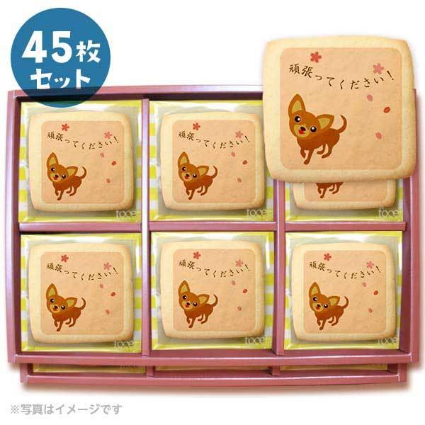 bZ[WNbL[ 撣Ă  v`Mtg 45Zbg