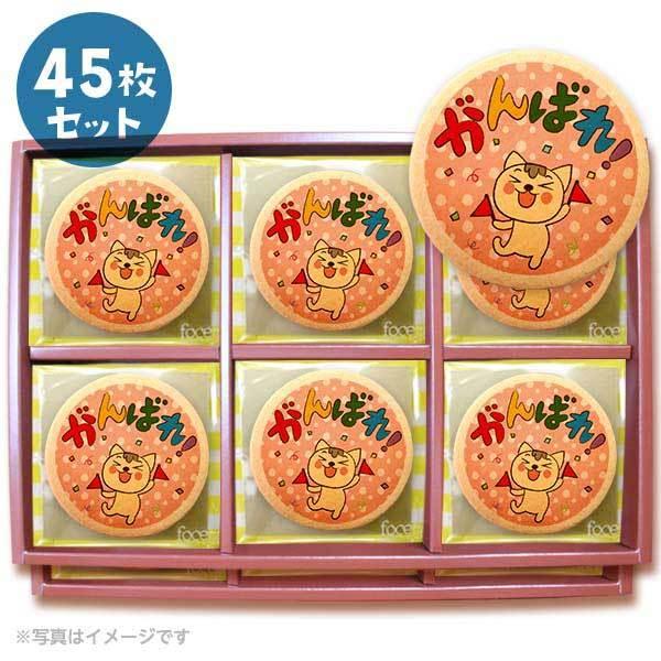 bZ[WNbL[ ΂  v`Mtg 45Zbg