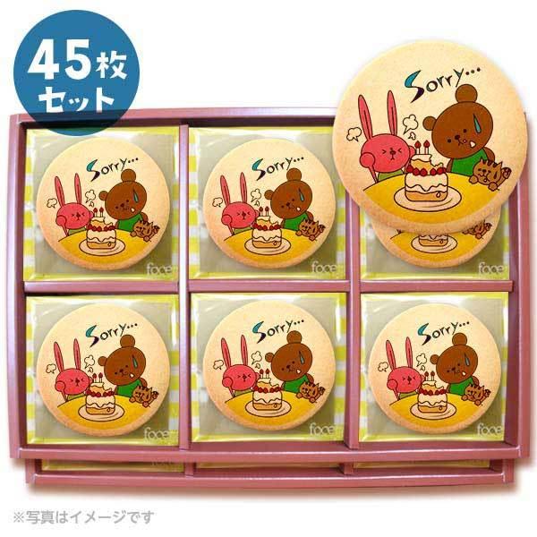 bZ[WNbL[ Sorry l v`Mtg 45Zbg