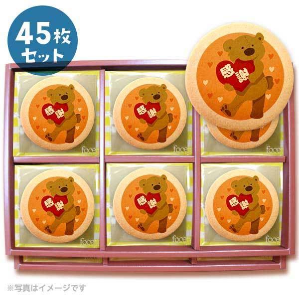 bZ[WNbL[  v`Mtg 45Zbg