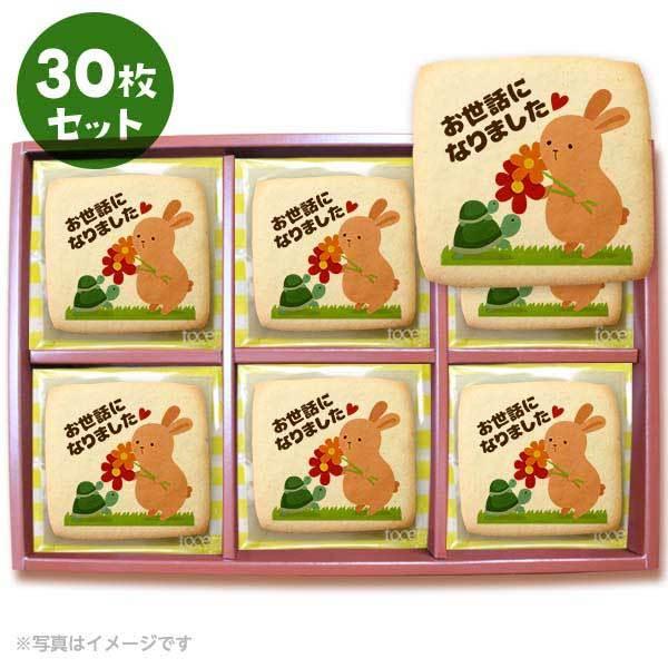 bZ[WNbL[ bɂȂ܂3  v`Mtg 30Zbg