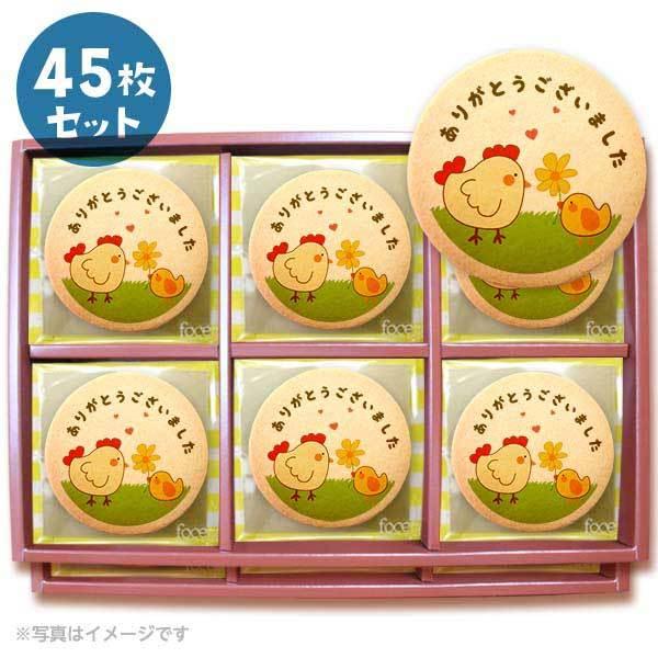 bZ[WNbL[ 肪Ƃ܂  v`Mtg 45Zbg