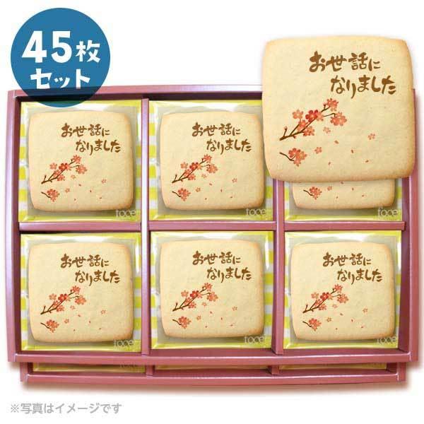 bZ[WNbL[ bɂȂ܂5  v`Mtg 45Zbg