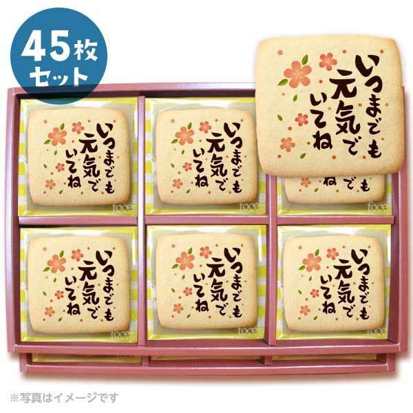 bZ[WNbL[ ܂łCłĂ2  v`Mtg V[NbL[ 45Zbg