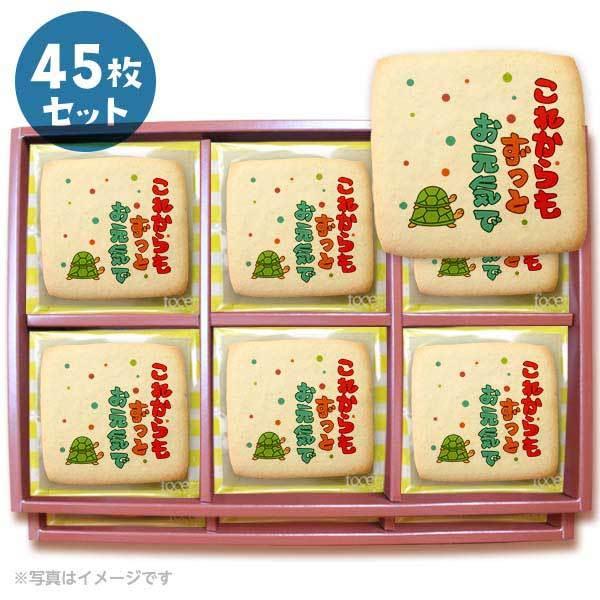 bZ[WNbL[ ꂩƌC  v`Mtg V[NbL[ 45Zbg