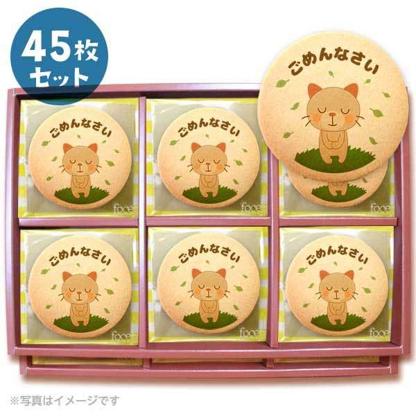 bZ[WNbL[ ߂Ȃ2 l v`Mtg 45Zbg