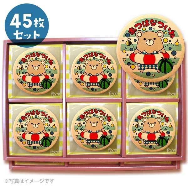 bZ[WNbL[ (͂Ȃ) v`Mtg V[NbL[ 45Zbg