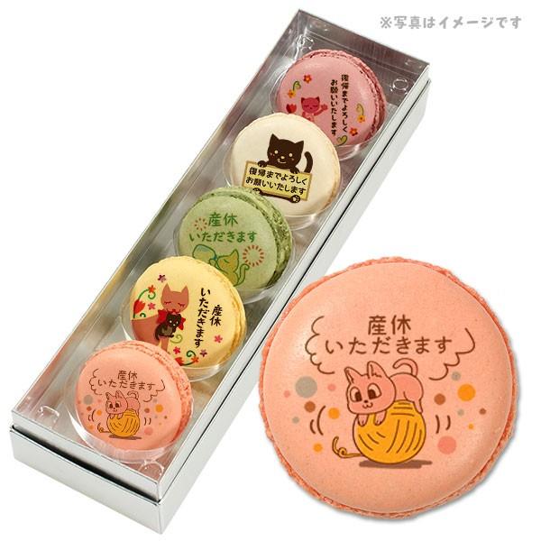 産休 お菓子 あいさつ 人気の5つのフレーバーで美味しい ネコのイラスト メッセージマカロン 5個セット 手作り スイーツ ギフト Pm Set184 スイーツ 洋菓子工房フォチェッタ 通販 Yahoo ショッピング