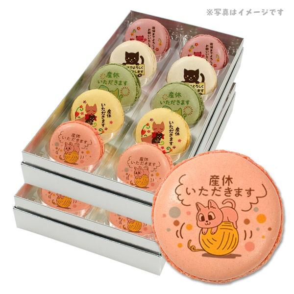産休 お菓子 あいさつ 人気の5つのフレーバーで美味しい ネコのイラスト メッセージマカロン 個セット 手作り スイーツ ギフト Pm Set186 スイーツ 洋菓子工房フォチェッタ 通販 Yahoo ショッピング