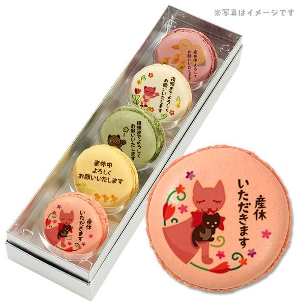 �Y�x ���َq �������� �E��ւ̂����A�� �l�C��5�̃t���[�o�[�Ŕ������� ���b�Z�[�W�}�J���� 5�Z�b�g ���� �X�C�[�c