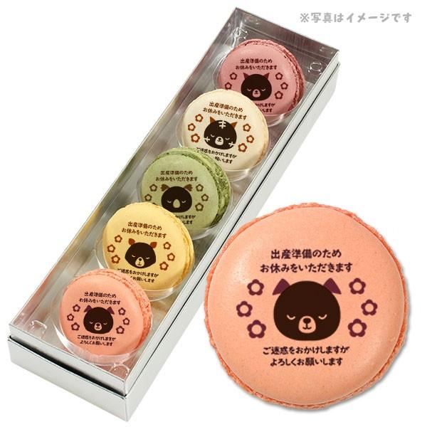 �Y�x �����A ���b�Z�[�W�}�J���� �o�Y�����̂��߂��x�݂����������܂� 5�̃t���[�o�[���������� 5�Z�b�g �X�C�[�c ���َq