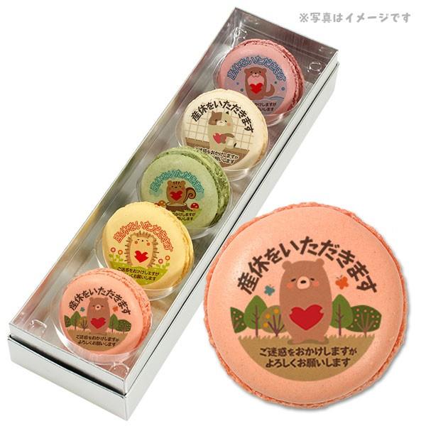 �Y�x ���َq ���b�Z�[�W�}�J���� �������y�R���Ƃ��������� C�Z�b�g 5�̃t���[�o�[���������� �v�����g�}�J���� 5�� �Z�b�g