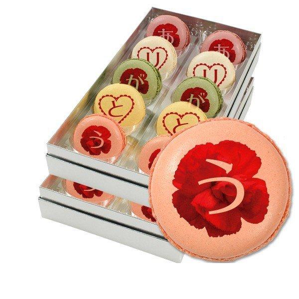 ̓ 肪ƂbZ[W}J 20Zbg v` Mtg 