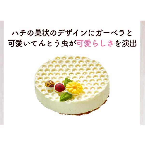 送料無料 母の日 誕生日 低糖質 スイーツ レアチーズケーキ 4号 12cm 1 2名用 ダイエット 乳酸菌配合 糖質制限 内祝 Buyee Buyee Japanischer Proxy Service Kaufen Sie Aus Japan