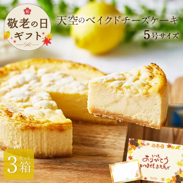 法的 びん 爆弾 ベイクド チーズ ケーキ 取り寄せ Marumiya M Jp