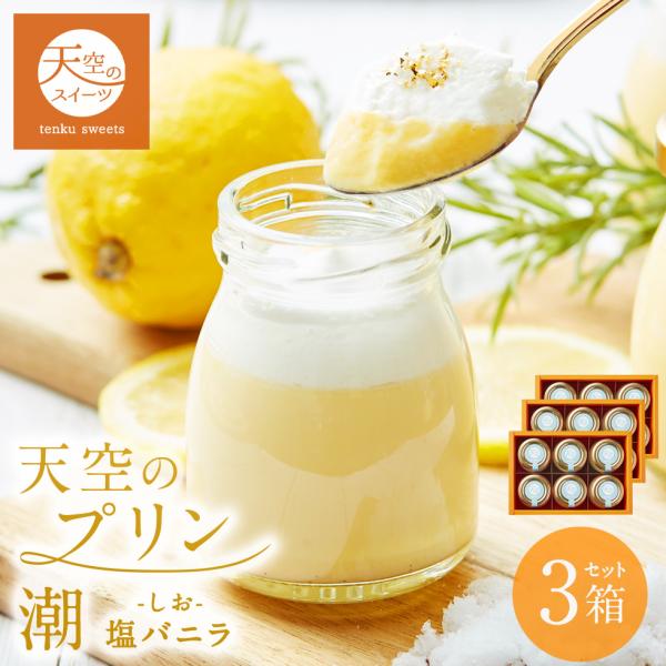 敬老の日 ギフト 送料無料 天空のプリン 潮 塩バニラ 6個入り 3箱セット 濃厚 最高級 瓶 詰め合わせ