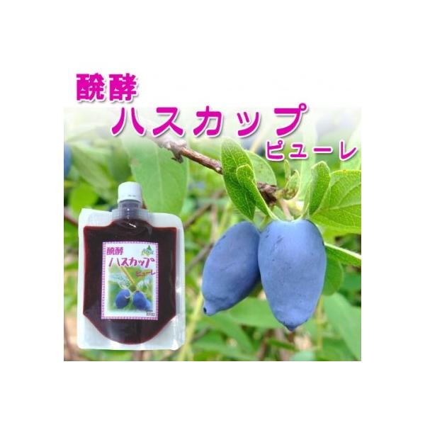 醗酵ハスカップ ピューレ 200g 非加熱で醗酵させペースト（TKSタングロン）
