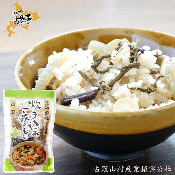 北海道産炊き込みご飯のもと 山菜 130ｇ【占冠山村産業振興公社】