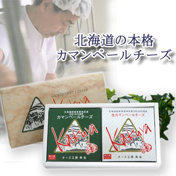 チーズ工房角谷 カマンベールチーズ 2個 ギフトセット