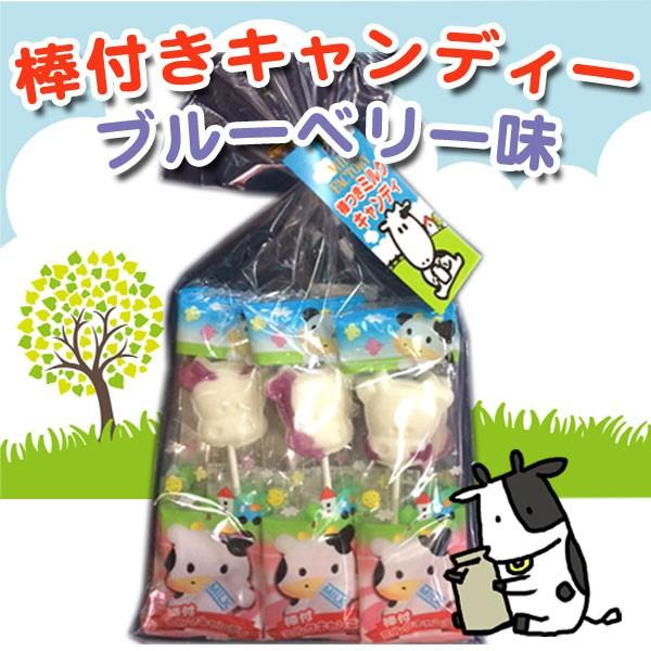 北海道渡辺体験牧場／摩周草原 棒付きキャンディーブルーベリー味
