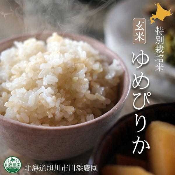 _ƒ2025NxYkCY ߂҂肩 ʍ͔| 5kg kCs̐Y_蒼̈SESȓʍ͔|Ă߂҂肩