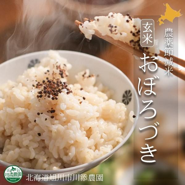 _ƒ2025NxYkCY ڂÂ _ߌ 10kg kCs̐Y_蒼̈SESȔ_ߌ ڂÂ