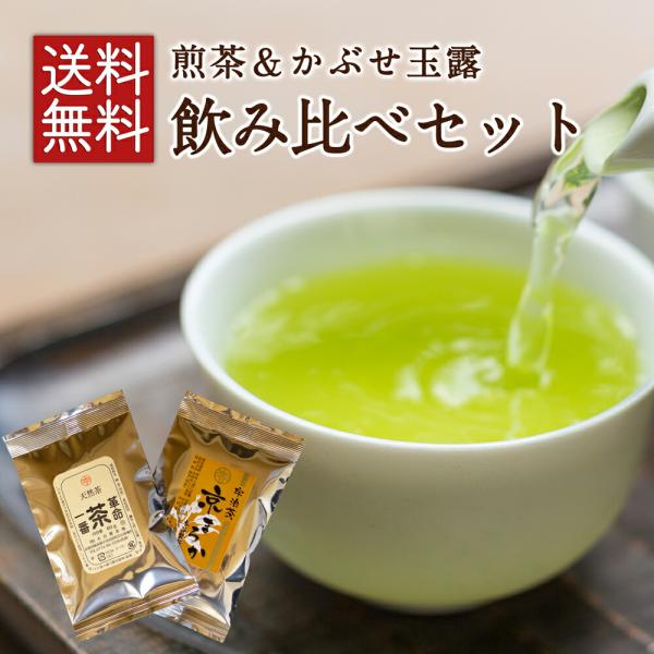 【お試し】人気の2種 緑茶 飲み比べ2点セット 送料無料 お試し 煎茶 かぶせ茶 玉露  茶葉 宇治茶
