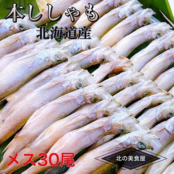 ししゃも メス30尾 本ししゃも 北海道産 シシャモ お取り寄せグルメ 子持ちししゃも 化粧箱入り ギフト 北の美食屋 通販 Yahoo ショッピング