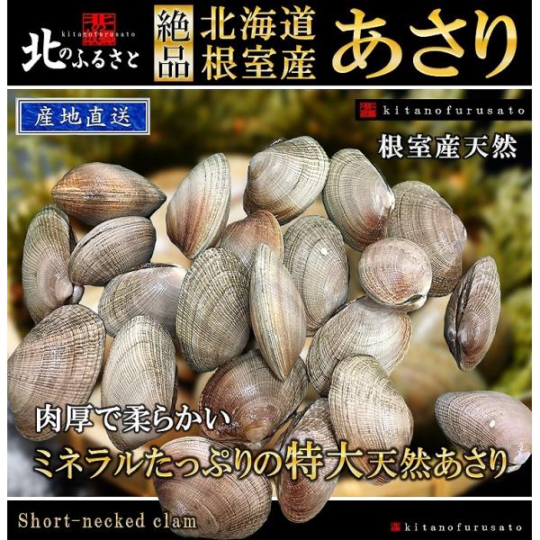 北海道 根室産 特大 あさり 1kg 砂抜き済み 産地直送 アサリ 貝 かい カイ 大粒 根室 道産 味噌汁 ダシ だし 酒蒸し Dejapan เสนอราคาและซ อญ ป นท ม ค านายหน า 0