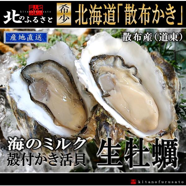 北海道 浜中産 ( 火散布沼 ) 殻付 生牡蠣 3Lサイズ × 10個